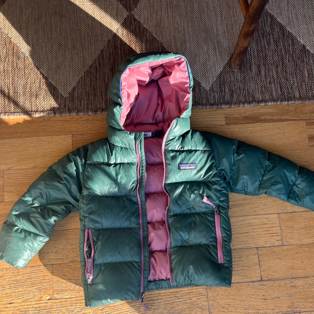 Hi Loft Kids Down Sweater with Hoody 
Patagonia jacket size 4T